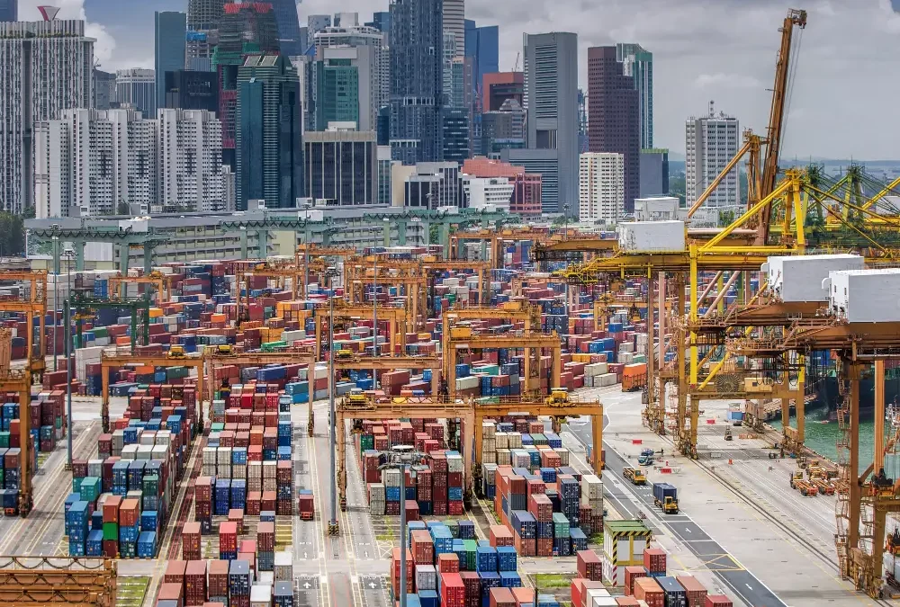 How to Choose the Best Logistics Company in Dubai for Your Business