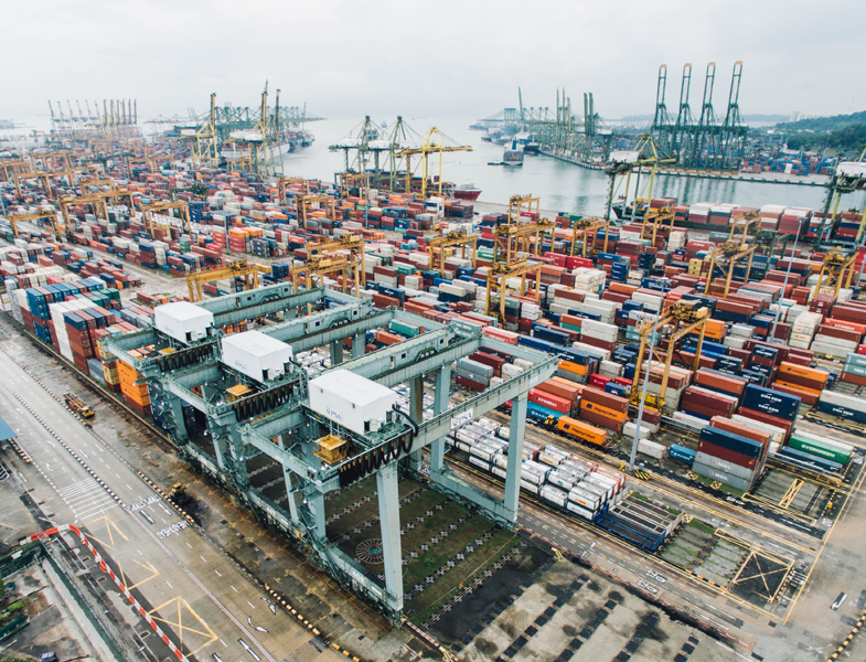 services.Project Cargo